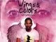 DJ Fortee, Wings & Colors, Lilly Million, mp3, download, datafilehost, fakaza, Afro House, Afro House 2019, Afro House Mix, Afro House Music, Afro Tech, House Music