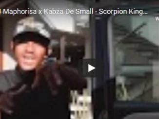 DJ Maphorisa, Kabza De Small, Scorpion Kings Tour EP 1, Scorpion Kings, mp3, download, datafilehost, fakaza, Afro House, Afro House 2019, Afro House Mix, Afro House Music, Afro Tech, House Music, Amapiano, Amapiano Songs, Amapiano Music