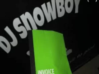 DJ Snowboy, Snow Syndrome, mp3, download, datafilehost, fakaza, Afro House, Afro House 2019, Afro House Mix, Afro House Music, Afro Tech, House Music, Amapiano, Amapiano Songs, Amapiano Music