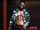 Diamond Platnumz, A Boy From Tandale, download ,zip, zippyshare, fakaza, EP, datafilehost, album, Afro Pop, Pop
