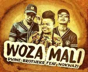 Dvine Brothers, Nokwazi, Woza Mali, mp3, download, datafilehost, fakaza, Afro House, Afro House 2019, Afro House Mix, Afro House Music, Afro Tech, House Music