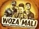Dvine Brothers, Nokwazi, Woza Mali, mp3, download, datafilehost, fakaza, Afro House, Afro House 2019, Afro House Mix, Afro House Music, Afro Tech, House Music