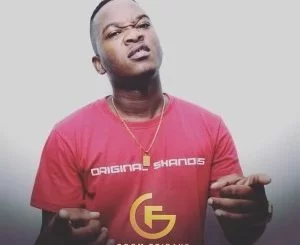 Funky Qla, StingRay, Thununu, mp3, download, datafilehost, fakaza, Afro House, Afro House 2019, Afro House Mix, Afro House Music, Afro Tech, House Music