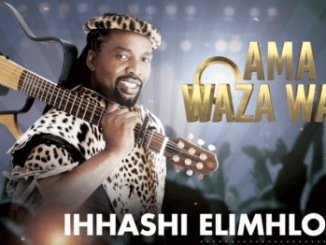 Ihhashi Elimhlophe, Ama Waza Waza, mp3, download, datafilehost, fakaza, Afro House, Afro House 2019, Afro House Mix, Afro House Music, Afro Tech, House Music Fester,