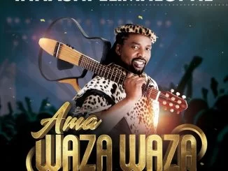 Ihhashi Elimhlophe, Ama Waza Waza, download ,zip, zippyshare, fakaza, EP, datafilehost, album, Maskandi Songs, Maskandi, Maskandi Mix, Maskandi Music, Maskandi Classics