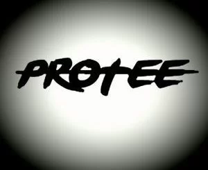 Martin Garrix, In The Name Of Love, Pro-tee,s 2019 Gqom Remake, mp3, download, datafilehost, fakaza, Gqom Beats, Gqom Songs, Gqom Music, Gqom Mix, House Music