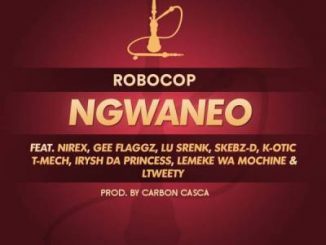 Robocop, Ngwaneo, Skebz D, Lemeke Wa Mochine, LTweety, Gee Flaggz, Lu Srenk, K-Otic, Irysh Da Princess, Nirex, T-Mech e 2019, Afro House Mix, Afro House Music, Afro Tech, House Music