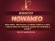 Robocop, Ngwaneo, Skebz D, Lemeke Wa Mochine, LTweety, Gee Flaggz, Lu Srenk, K-Otic, Irysh Da Princess, Nirex, T-Mech e 2019, Afro House Mix, Afro House Music, Afro Tech, House Music