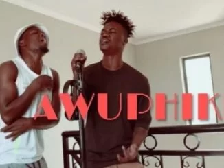 Senzo Idlozi, Awuphiki, Mlindo The Vocalist Riky Rick, mp3, download, datafilehost, fakaza, Afro House, Afro House 2019, Afro House Mix, Afro House Music, Afro Tech, House Music Fester,