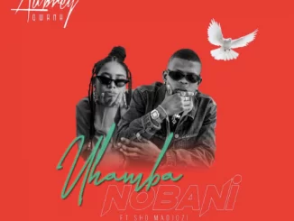 Aubrey Qwana, Uhamba Nobani, ShoMadjozi, mp3, download, datafilehost, fakaza, Afro House, Afro House 2019, Afro House Mix, Afro House Music, Afro Tech, House Music Fester,