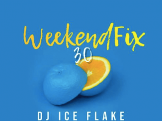 Dj Ice Flake, WeekendFix 30 2019, mp3, download, datafilehost, fakaza, Afro House, Afro House 2019, Afro House Mix, Afro House Music, Afro Tech, House Music