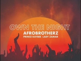 Afro Brotherz, Own The Night, Prince Kaybee, Lady Zamar, mp3, download, datafilehost, toxicwap, fakaza, Afro House, Afro House 2019, Afro House Mix, Afro House Music, Afro Tech, House Music