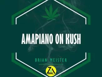 ZAMUSIC OFFICIAL MIX, Brian Meister, Session 21 (AmaPiano on Kush Mix, 2019), mp3, download, datafilehost, toxicwap, fakaza, House Music, Amapiano, Amapiano 2019, Amapiano Mix, Amapiano Music