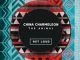 China Charmeleon, The Animal, download ,zip, zippyshare, fakaza, EP, datafilehost, album, Deep House Mix, Deep House, Deep House Music, Deep Tech, Afro Deep Tech, House Music, Afro House, Afro House 2019, Afro House Mix, Afro House Music, Afro Tech