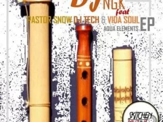 DJ NGK, Vida Soul, Somewhere In Mzansi, mp3, download, datafilehost, fakaza, Afro House, Afro House 2019, Afro House Mix, Afro House Music, Afro Tech, House Music