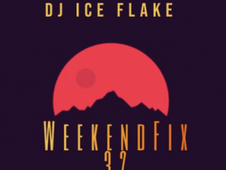 Dj Ice Flake, WeekendFix 32, Groovy Session, 2019, mp3, download, datafilehost, fakaza, Afro House, Afro House 2019, Afro House Mix, Afro House Music, Afro Tech, House Music