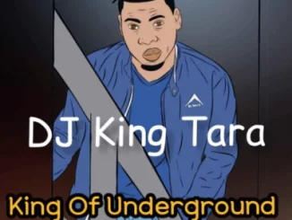 Dj King Tara, Parasite Dance, Main Mix, mp3, download, datafilehost, fakaza, Afro House, Afro House 2019, Afro House Mix, Afro House Music, Afro Tech, House Music, Amapiano, Amapiano Songs, Amapiano Music