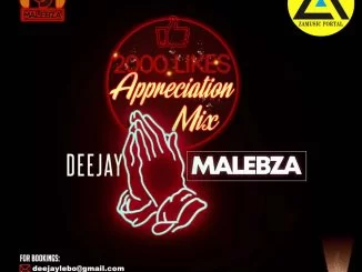 Deejay Malebza, 2000 Likes Appreciation Mix, mp3, download, datafilehost, toxicwap, fakaza, Afro House, Afro House 2019, Afro House Mix, Afro House Music, Afro Tech, House Music