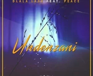Dlala Lazz, Undenzani, Peace, mp3, download, datafilehost, fakaza, Afro House, Afro House 2019, Afro House Mix, Afro House Music, Afro Tech, House Music