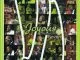 Joyous Celebration, Jesu Ke Mmoloki, mp3, download, datafilehost, toxicwap, fakaza, Gospel Songs, Gospel, Gospel Music, Christian Music, Christian Songs