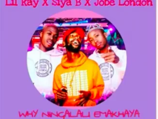 Lil Kay, Siya B, Why Ninga Lali Emakhaya, Jobe London, mp3, download, datafilehost, fakaza, Afro House, Afro House 2019, Afro House Mix, Afro House Music, Afro Tech, House Music, Amapiano, Amapiano Songs, Amapiano Music