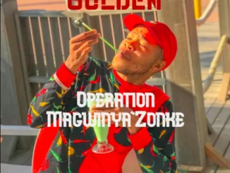 Material Kabelo Golden, Operation Magwinya’Zonke, mp3, download, datafilehost, toxicwap, fakaza, Afro House, Afro House 2019, Afro House Mix, Afro House Music, House Music, Amapiano, Amapiano 2019, Amapiano Mix, Amapiano Music