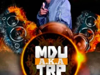 Mdu a.k.a TRP, Palledium Kicks, Deeper Mix, mp3, download, datafilehost, fakaza, Afro House, Afro House 2019, Afro House Mix, Afro House Music, Afro Tech, House Music, Amapiano, Amapiano Songs, Amapiano Music