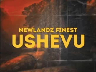 Newlandz Finest, uShevu, Broken Mix, mp3, download, datafilehost, fakaza, Afro House, Afro House 2019, Afro House Mix, Afro House Music, Afro Tech, House Music