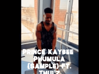 Prince Kaybee, Phumula (Sample), Thulz, mp3, download, datafilehost, toxicwap, fakaza, Afro House, Afro House 2019, Afro House Mix, Afro House Music, Afro Tech, House Music