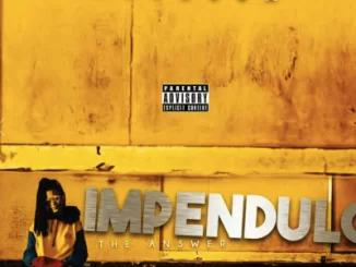 Assessa, Impendulo, mp3, download, datafilehost, fakaza, Afro House, Afro House 2019, Afro House Mix, Afro House Music, Afro Tech, House Music