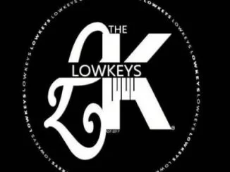 The Lowkeys 012, Twist, Shimza, Amazing, Vocal Phresh, mp3, download, datafilehost, fakaza, Afro House, Afro House 2019, Afro House Mix, Afro House Music, Afro Tech, House Music