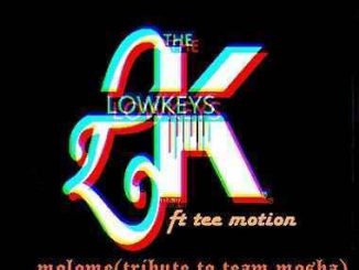 The Lowkeys, Tee Motion, Malome (Tribute to Team Mosha), mp3, download, datafilehost, fakaza, DJ Mix, Afro House, Afro House 2019, Afro House Mix, Afro House Music, Afro Tech, House Music