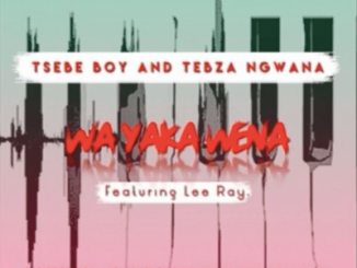 Tsebe Boy, Tebza Ngwana, Wa Yaka Wena, mp3, download, datafilehost, fakaza, Afro House, Afro House 2019, Afro House Mix, Afro House Music, Afro Tech, House Music, Amapiano, Amapiano Songs, Amapiano Music