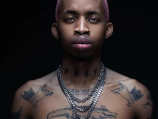 Tshego, Pink Panther, Album Tracklist, download ,zip, zippyshare, fakaza, EP, datafilehost, album, Hiphop, Hip hop music, Hip Hop Songs, Hip Hop Mix, Hip Hop, Rap, Rap Music