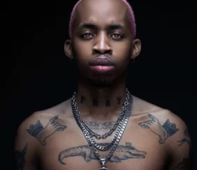 Tshego, Pink Panther, download ,zip, zippyshare, fakaza, EP, datafilehost, album, R&B/Soul, R&B/Soul Mix, R&B/Soul Music, R&B/Soul Classics, R&B, Soul, Soul Mix