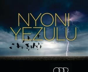 Zakes Bantwini, Leroy Styles, Nyoni Yezulu, Radio Edit, mp3, download, datafilehost, fakaza, Afro House, Afro House 2019, Afro House Mix, Afro House Music, Afro Tech, House Music, Deep House Mix, Deep House, Deep House Music, Deep Tech, Afro Deep Tech, House Music