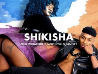 Zulu Mkhathini, Shikisha, Moonchild Sanelly, mp3, download, datafilehost, fakaza, Afro House, Afro House 2019, Afro House Mix, Afro House Music, Afro Tech, House Music