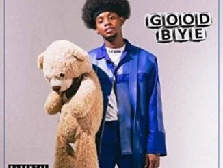 Benny Afroe, Good Bye, mp3, download, datafilehost, toxicwap, fakaza, Hiphop, Hip hop music, Hip Hop Songs, Hip Hop Mix, Hip Hop, Rap, Rap Music