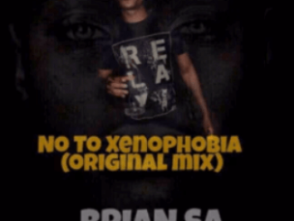 Brian SA, No To Xenophobia (Original Mix), mp3, download, datafilehost, toxicwap, fakaza, Afro House, Afro House 2019, Afro House Mix, Afro House Music, Afro Tech, House Music