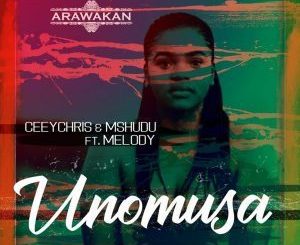 CeeyChris, Mshudu, Unomusa, Melody, mp3, download, datafilehost, toxicwap, fakaza, Afro House, Afro House 2019, Afro House Mix, Afro House Music, Afro Tech, House Music