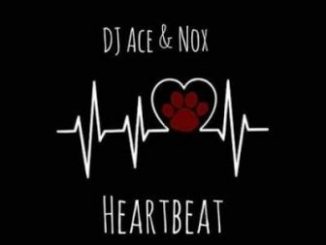 DJ Ace , Nox, Heartbeat, mp3, download, datafilehost, toxicwap, fakaza, Afro House, Afro House 2019, Afro House Mix, Afro House Music, Afro Tech, House Music