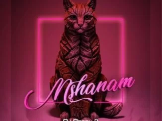 DJ Boonu, Mshanam, Distruction Boyz, Madanon, Rude Boyz, Stilo Magolide, Jaiva Zimnike, mp3, download, datafilehost, toxicwap, fakaza, Gqom Beats, Gqom Songs, Gqom Music, Gqom Mix, House Music