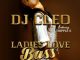 DJ Cleo, Ladies Love Bass (Radio Edit), mp3, download, datafilehost, toxicwap, fakaza, Amapiano, Amapiano 2019, Amapiano Mix, Amapiano Music
