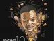 DJ Ganyani, Emazulwini, Amapiano Remix, mp3, download, datafilehost, toxicwap, fakaza, House Music, Amapiano, Amapiano 2019, Amapiano Mix, Amapiano Music