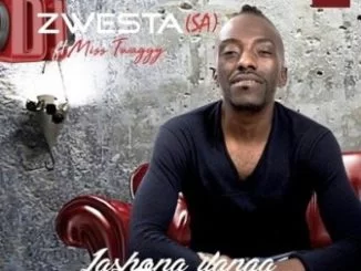 DJ Zwesta SA, Lashona Ilanga, Ft. Miss Twaggy, mp3, download, datafilehost, toxicwap, fakaza, Gqom Beats, Gqom Songs, Gqom Music, Gqom Mix, House Music