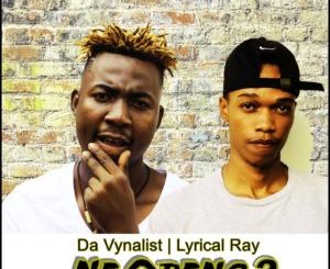 Da Vynalist, Lyrical Ray, Ne Oreng, mp3, download, datafilehost, toxicwap, fakaza, Afro House, Afro House 2019, Afro House Mix, Afro House Music, Afro Tech, House Music