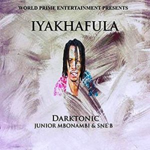 Darktonic, Iyakhafula, Junior Mbonambi, Sne B, mp3, download, datafilehost, toxicwap, fakaza, Afro House, Afro House 2019, Afro House Mix, Afro House Music, Afro Tech, House Music