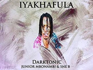 Darktonic, Iyakhafula, Junior Mbonambi, Sne B, mp3, download, datafilehost, toxicwap, fakaza, Afro House, Afro House 2019, Afro House Mix, Afro House Music, Afro Tech, House Music