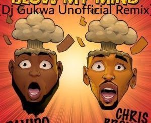 Davido, Blow My Mind (Dj Gukwa Unofficial Remix), Chris Brown, mp3, download, datafilehost, toxicwap, fakaza, Afro House, Afro House 2019, Afro House Mix, Afro House Music, Afro Tech, House Music