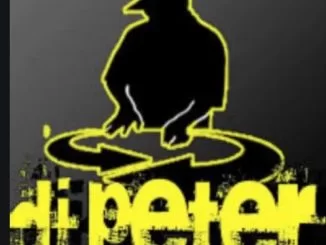 Dj Peter, BackSeat Driver, mp3, download, datafilehost, toxicwap, fakaza, House Music, Amapiano, Amapiano 2019, Amapiano Mix, Amapiano Music